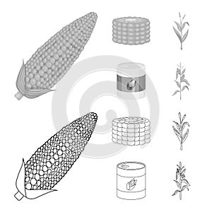 Isolated object of cornfield and vegetable icon. Collection of cornfield and vegetarian vector icon for stock.