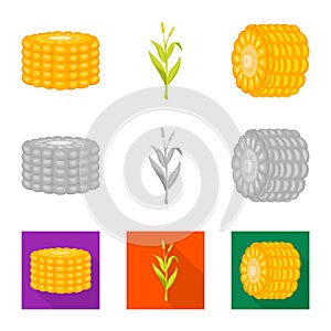 Isolated object of cornfield and vegetable icon. Collection of cornfield and vegetarian vector icon for stock.