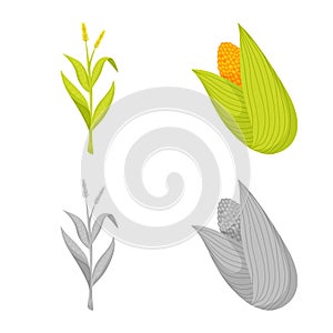 Isolated object of cornfield and vegetable icon. Collection of cornfield and vegetarian vector icon for stock.