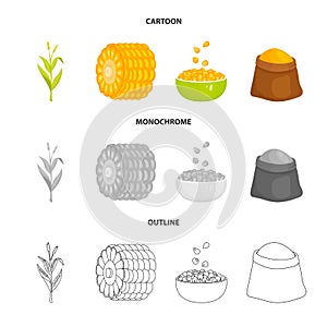 Isolated object of cornfield and vegetable icon. Collection of cornfield and vegetarian vector icon for stock.