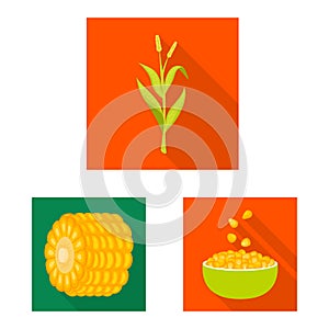 Isolated object of cornfield and vegetable icon. Set of cornfield and vegetarian stock symbol for web.