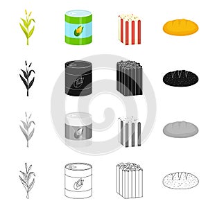 Isolated object of cornfield and vegetable icon. Set of cornfield and vegetarian stock vector illustration.