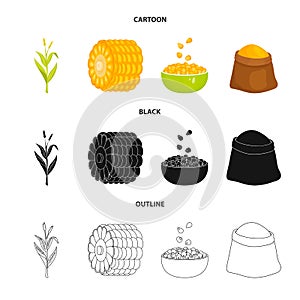 Isolated object of cornfield and vegetable icon. Set of cornfield and vegetarian vector icon for stock.