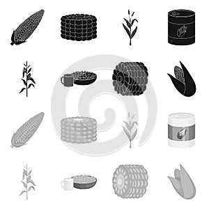 Isolated object of cornfield and vegetable logo. Collection of cornfield and vegetarian stock symbol for web.