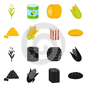 Isolated object of cornfield and vegetable logo. Set of cornfield and vegetarian stock symbol for web.