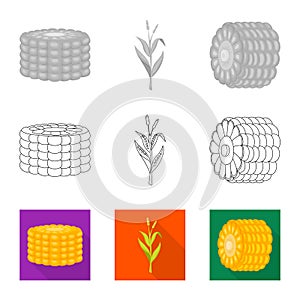 Isolated object of cornfield and vegetable logo. Set of cornfield and vegetarian vector icon for stock.