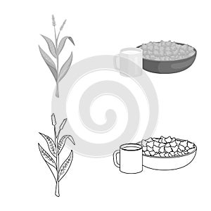 Isolated object of cornfield and vegetable logo. Set of cornfield and vegetarian vector icon for stock.