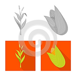 Isolated object of cornfield and vegetable sign. Collection of cornfield and vegetarian stock symbol for web.