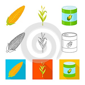 Isolated object of cornfield and vegetable sign. Collection of cornfield and vegetarian stock symbol for web.