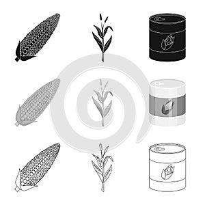 Isolated object of cornfield and vegetable sign. Set of cornfield and vegetarian vector icon for stock.