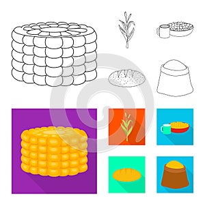 Isolated object of cornfield and vegetable symbol. Set of cornfield and vegetarian stock vector illustration.