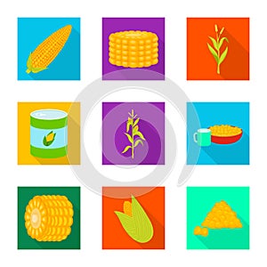 Isolated object of cornfield and vegetable symbol. Set of cornfield and vegetarian stock vector illustration.