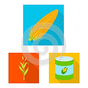 Isolated object of cornfield and vegetable symbol. Set of cornfield and vegetarian vector icon for stock.