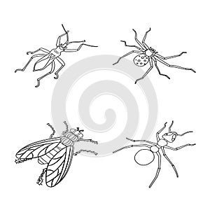 Isolated object of fauna and entomology logo. Collection of fauna and animal vector icon for stock.