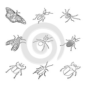 Isolated object of fauna and entomology sign. Collection of fauna and animal stock symbol for web.