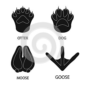 Isolated object of feet and fauna sign. Set of feet and print stock symbol for web.