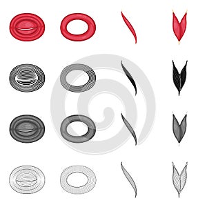 Isolated object of fiber and muscular icon. Set of fiber and body vector icon for stock.