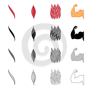 Isolated object of fiber and muscular sign. Set of fiber and body  stock symbol for web.