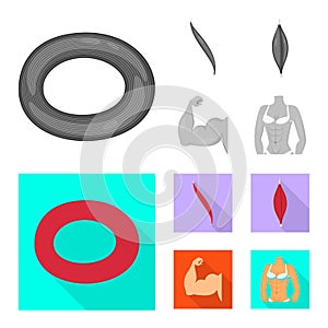 Isolated object of fiber and muscular symbol. Set of fiber and body vector icon for stock.