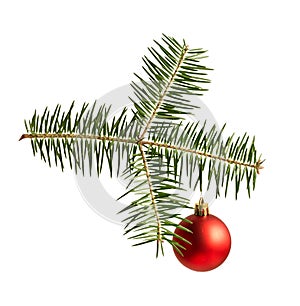 isolated object fir branch with hanging christmas toy red ball on white background