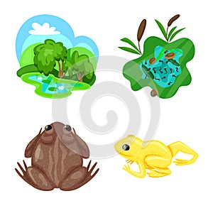 Isolated object of frog and anuran icon. Set of frog and animal vector icon for stock. photo