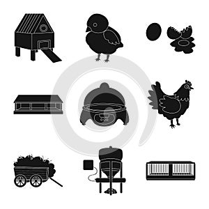Isolated object of harvest and farming symbol. Set of harvest and poultry stock vector illustration.