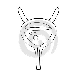 Isolated object of incontinence and bladder symbol. Collection of incontinence and urine  vector icon for stock.