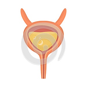 Isolated object of incontinence and bladder symbol. Set of incontinence and urine  vector icon for stock.