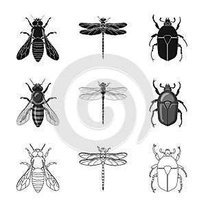 Isolated object of insect and fly icon. Set of insect and element stock vector illustration.