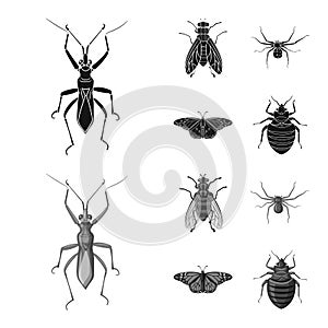 Isolated object of insect and fly logo. Collection of insect and element vector icon for stock.