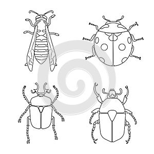 Isolated object of insect and fly logo. Collection of insect and element vector icon for stock.