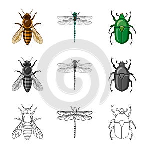 Isolated object of insect and fly logo. Collection of insect and element vector icon for stock.