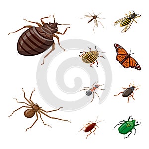 Isolated object of insect and fly logo. Collection of insect and entomology vector icon for stock.