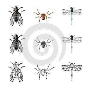 Isolated object of insect and fly logo. Set of insect and element stock symbol for web.