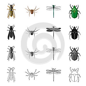 Isolated object of insect and fly logo. Set of insect and element vector icon for stock.