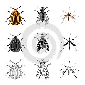 Isolated object of insect and fly logo. Set of insect and element vector icon for stock.