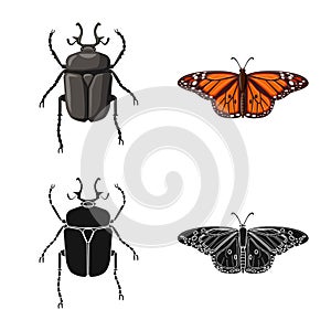 Isolated object of insect and fly logo. Set of insect and element vector icon for stock.