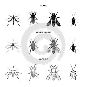 Isolated object of insect and fly logo. Set of insect and element vector icon for stock.