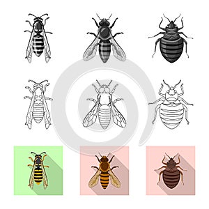 Isolated object of insect and fly logo. Set of insect and element vector icon for stock.