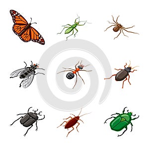 Isolated object of insect and fly logo. Set of insect and entomology stock symbol for web.