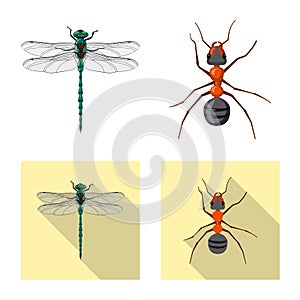 Isolated object of insect and fly sign. Collection of insect and element stock symbol for web.