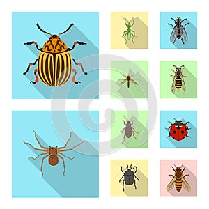 Isolated object of insect and fly sign. Collection of insect and element vector icon for stock.