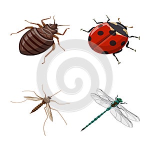 Isolated object of insect and fly sign. Collection of insect and entomology stock symbol for web.