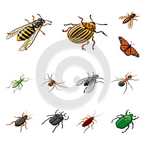 Isolated object of insect and fly sign. Set of insect and entomology vector icon for stock. photo