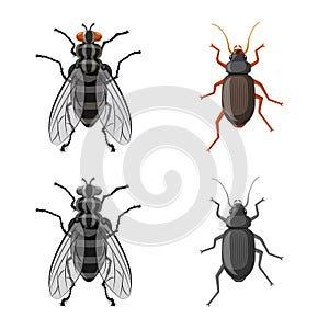 Isolated object of insect and fly sign. Set of insect and element vector icon for stock.