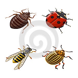 Isolated object of insect and fly sign. Set of insect and entomology stock symbol for web.