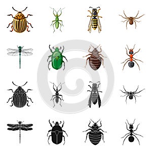Isolated object of insect and fly symbol. Collection of insect and element vector icon for stock.