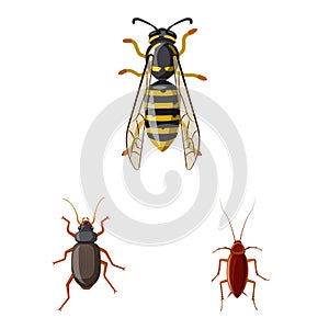 Isolated object of insect and fly symbol. Collection of insect and element vector icon for stock.