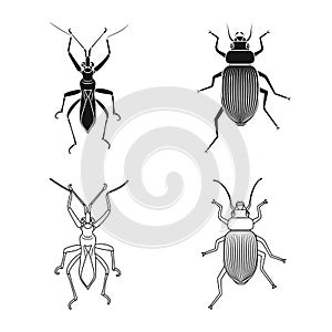 Isolated object of insect and fly symbol. Set of insect and element vector icon for stock.