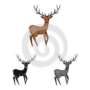 Isolated object of moose and animal icon. Collection of moose and antler vector icon for stock. photo